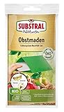 Substral Naturen Obstmaden-Falle Nachrüstset, gegen Apfelwickler bei Apfel-, Birnen- und Walnussbäumen, 1 Nachrüstset, Grau