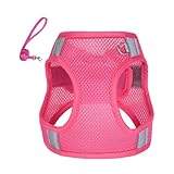 Hundegeschirr Für Hunde | Reflektierendes Geschirr Vest Mit Seilset Für Hunde | Haustier Trainingszubehör, Einfache Kontrolle Zugleine Für Outdoor Aktivitäten Spaziergänge
