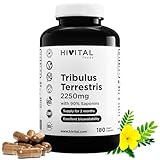 Tribulus Terrestris 2250 mg. 180 vegane Kapseln für eine 2-monatige Kur. Natürlicher Extrakt mit 90% Saponinen mit hohem Wirkstoffgehalt. Hergestellt von HIVITAL