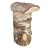 Windhager Nistkasten Wildkogel für Vögel | Einflugloch Ø 28 mm, Abnehmbares Dach, Birkenholz | Vogelhaus, Vogelnistkasten zum Aufhängen | witterungsbeständig, langlebig | 25 x 16,50 x 14 cm