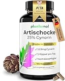 90 Artischocken Kapseln hochdosiert mit 25% Cynarin - WICHTIG: 113mg Cynarin pro Kapsel - 1 Kapsel pro Tag - Artischocken-Extrakt hochdosiert