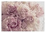 Fototapete Blumen Pfingstrose Romantisch Rosa Rosen Wohnzimmer Schlafzimmer Wandtapete Vlies Tapete Latexdruck UV-Beständig Geruchsfrei Hohe Auflösung Montagefertig (368x254 cm - 4 Bahnen)