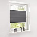 Deswell Plissee Rollo Jalousie ohne Bohren Klemmfix für Fenster & Tür Anthrazit B70 x H130cm, Plisseerollo Stoff Sonnenschutz leicht zu montieren