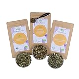 Fasten Balance Trio - Hochwertiges Bio-Tee-Geschenkset - 3x 100g loser Bio-Tee mit Teemaßlöffel
