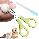 JAONLD Krallenschere Katzen mit Schutz, Katzenkrallen Schneider mit 2mm&4mm Loch, Katzen Nagelschere Profi Katzen Krallenschneider Cat Nail Clipper für Katzen, Welpen, Kaninchen Mit Datei (Grün)