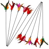 JcvPot Katzenangel Feder, Katzenspielzeug Angel mit 10 Stück Federspielzeugen, 40 cm Länge, für interaktives Spiel und Bewegung, Katzenliebhaber