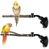 2er-Set Holz Sitzstange Vogelstange mit Saugnapf Interaktives Vogelzweig-Sitzstange-Training Holz-Vogelstange für Kleine Mittelgroße Vögel für Sittiche für Fliesen Glas und Glatte Ebene (25 cm)