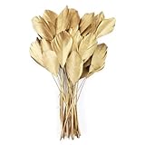 Goldene Federn für Bastelarbeiten, goldgetauchte Ente, Fasan, Truthahn, Party, Geschenk, Schmuck, Handarbeit, Dekoration, Stil 08, 10 Stück