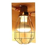HAPINARY Lampenschirm Für Haustiere Heizungsgehäuse Käfig Fisch Lichtheizung Schutz Messgerät Nachttischlampe Glühbirne Sonnenlampe Tank Glühstrahler Terrarien Schildkröte