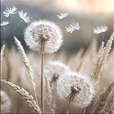 artissimo, Glasbild, 30x30cm, AG5508A, Natur: Blumen und Gräser III, Bild aus Glas, Wandbild Wohnzimmer modern, weiß beige, hell, Pusteblume