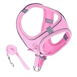 Katzengeschirr | Katzengeschirr und Leine Set - Zubehör für Haustiere Halsband für Welpen Größen klein mittel groß Reise Wandern