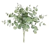 Künstlicher Eukalyptuszweig gefrostet 5er Set 60cm Dekozweig Beerenzweig Kunstblume Eukalyptus Zweig AST Äste Blume Floristik Kunstzweig Stielblume Dekoration Deko für Girlande Kranz Weihnachtsdeko