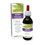 Acker-Schachtelhalm oder Pferdeschwanz (Equisetum arvense) Kraut Alkoholfreier Urtinktur Naturalma - Flüssig-Extrakt Tropfen 120 ml - Nahrungsergänzungsmittel - Veganer