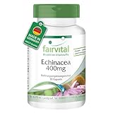 Fairvital | Echinacea 400mg - 90 Kapseln - 400mg Echinacea purpurea Pulver pro Kapsel - HOCHDOSIERT - VEGAN