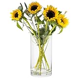 TREND FOR HOME Bodenvase Groß 29 cm Glasvase Zylinder Vase für Osterstrauch Klarglas Pampasgras Transparent Rund Modern Glaszylinder | 4900 ml | Ø 15.8 cm | Magnolia