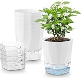 6 Packs Selbstbewässerungstopf, 12.5cm Blumentopf Selbstbewässernd, Pflanzentopf mit Bewässerungssystem, Übertopf mit Untersetzer, Blumentöpfe Ideal für Innen und Balkongärten, Kräutertopf Küche Set