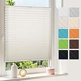 HOMEDEMO Plissee Klemmfix ohne Bohren,Plisseerollo Fensterrollo mit Klemmträger, Faltrollo Klemmrollo Sichtschutz und Sonnenschutz,80x110(BxH) Beige