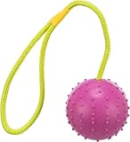 Trixie Ball am Seil, Naturgummi, ø 7/30 cm, pink/lime, Hundespielzeug, Apportieren, Tauziehen