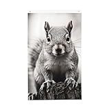 Hellgraue Eichhörnchen-Willkommensflagge, 90 x 150 cm, doppelseitig, kein Verblassen, Haus-Hof-Flaggen, Foto-Hintergrund, Party-Banner für Innenhof, Veranda, Rasen, Outdoor-Dekoration