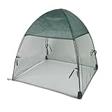 Tomatengewächshaus – Terrassengehege für den Außenbereich, Schutz vor Vögeln, Schutz für Gemüseanbau | Geräumiges Design des Zimmers des Hauses