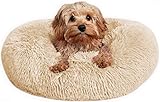 Caveli Pet Products Hundekorb Hundebett waschbar für Kleine Hunde bis 10kg Abnehmbarer Bezug 60 cm Orthopädisches Fluffy Rund Donut Beige flauschig beruhigend Anti-Angst