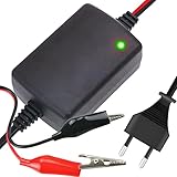 Retoo Batterieladegerät 12V 1.5A Gel Batterie KFZ Ladegerät für Oldtimer, Motorrad, Roller, Rasenmäher, Boote, LKW, PKW, Wohnwagen, Autobatterie und Motorradbatterie Ladegeräte, Ladekabel 1.3 M