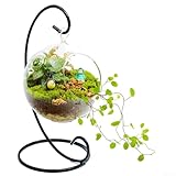 Hängender dekorativer Ständer im Design 1 Stück Metall Ornament Halter mit klassischer L-Form für alle Anlässe (schwarz)