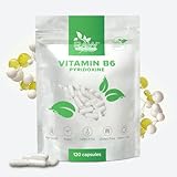 Pyridoxine (Vitamin B6) 100mg, 120 Kapseln – Unterstützung für Energie & Nervensystem – Reine Zutaten, GMO- & Glutenfrei von Raw Powders