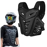 Motorradpanzerung Stoßdämpfer Absorptionsmoturpanzerweste Verstellbarer Brust Atmungsfreier Brustschutz Beschützer Dirtbike-Ausrüstung für Männer Mountainbike Rennen im Gelände, Weste, Motorrad