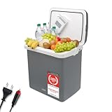 TZS First Austria elektrische Kühlbox 32 Liter | 12 Volt & 230 Volt Anschluss | mit 12-V-Stecker fürs Auto | für Camping, Festivals & Reisen | mit Kühl- und Warmhaltefunktion | grau