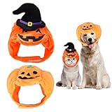 XNHIU Halloween-Kürbishut und Hexenkürbis-Hut, Halloween-Kostüm, Dekoration für Katzen und Hunde, 2 Stück