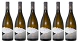 6x 0,75l - 2023er - Torre Rosazza - Sauvignon - Friuli-Grave D.O.P. - Friaul - Italien - Weißwein trocken