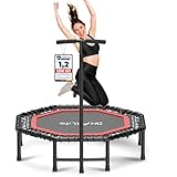 DH FitLife Fitness Indoor Trampolin klappbar ohne Installation | Ø121cm 48 Zoll Trampoline | Tragfähigkeit 150 KG | 3 verstellbare Handgriffstufen | Stabiler und leiser für Kinder u. Erwachsene