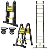 SUBTLETY Teleskopleiter 5m Klappleiter aus Aluminium Ausziehbar Multifunktions Leiter 16 Stufen Ausziehleiter mit Rutschfestem Gummi Mehrzweckleiter Aluleiter Belast bis 150KG (Schwarz, 2.5m+2.5m)