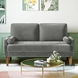 Vesgantti Couch 2 Sitzer, Samt Kleines Sofa mit 2 Wurfkissen, Modern Mini Sofa, Getuftetes Kleine Couch für Wohnzimmer/Schlafzimmer/Büro/Wohnung, 121x 77 x 87cm, Grau