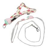 ROMISBABA Outdoor Hundeleine mit Verstellbarem Design Fruchtige Traktionsleine für Sicheres Gassigehen Material für Kleine