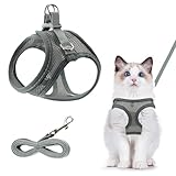 Atmungsaktiv Katzengeschirr - Grau Reflektierend Set, Verstellbar Ausbruchsicher Mit Leine für im Freien (XS)