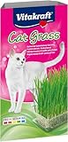 Vitakraft Cat Grass, Katzengras Saatenmischung, mit Vitaminen und Mineralien, schnell wachsend (1x 120g)