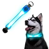 flintronic LED Leuchthalsband Hunde Halsband, Leuchtend Hundehalsband, Sicherheits LED Leuchtband für Hunde Katzen, LED Licht Blinklicht mit Klettverschluss, Helle Sicherheit für Die Nacht