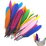 Feathers Bulk Craft – 50 Stück bunte Federn, gemischte Farben, bunte Bastelfedern, Mehrzweck-Federn, Traumfänger, Gänsefedern, Großpackung für Halloween-Partyzubehör
