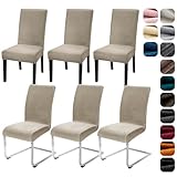 Alishomtll Stretch Samt Stuhlhussen 6er Set Velvet/Velour Stuhlbezug Schwingstuhl Elastische Hussen Waschbarer Stühle Schutz für Küche Restaurant Hotel Bankett Hochzeit (Champagne, 6 Stück)