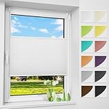 Allesin Plissee ohne Bohren Plissees Klemmfix Weiß 75x130cm(BxH), Plisseerollo Faltrollo mit Klemmträger, Jalousie Rollos für Fenster und Tür, Sichtschutz und Sonnenschutz