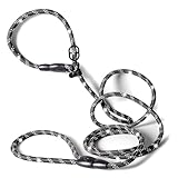 rootsnoot Retrieverleine – 190 cm lang, 0,8 cm stark, für kleine Hunde bis 5 kg – leichte Moxonleine & Schlupfleine – Halsband und Leine in einem