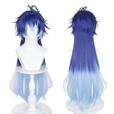 Anime Spielcharakter Cosplay Perücke - Hochtemperaturfaser mit 2 Perückenhauben für Conventions, Cosplay Events und Mottopartys (Flins)