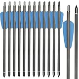 WANVZME 12 Stück 7,5' Carbon Armbrust Bolzen Pfeile für Mini Armbrust Jagd und Zielpraxis,15' Armbrustbolzen Armbrustpfeile mit 2' Flügel schraubel Ersatz Pfeilspitze Spitze (7.5zoll blau)