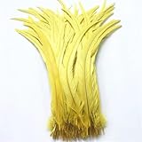 30–35 cm, 50 Stück Hahnschwanzfedern, natürliche Federn für Bastelarbeiten, Hochzeitsdekoration