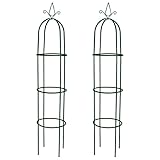 2 STK. Garten-Ranktürme aus Eisen - Stabile Kletterhilfe für Pflanzen im Garten - Perfekt für Rankpflanzen und Rosen - Langlebig und witterungsbeständig
