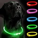 Leuchthalsband Hund, Hundehalsband Leuchtend Aufladbar, LED Halsband für Hunde, Leuchtband Hund Einstellbare Größe Hunde Leuchthalsband Sicherheit für Ihren Hund in der Nacht(Green2)