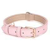 LEACOOLKEY Echtleder Hundehalsband für große mittelgroße Hunde Klassisch weich atmungsaktiv Waterproof Collars