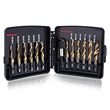 GOLD DEER 13-teiliges Kombi-Bohrer-und Gewindebohrer Set Bohrer- und Gewindebohrer-Set mit Schnellwechseladapter SAE (6-32NC bis 1/4-20NC) und metrischem Bohrerset (M3 bis M10)